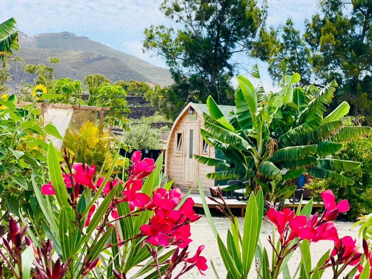 Вілла Nashira Hot Tub Piscina Y Jardin Buzanada Екстер'єр фото