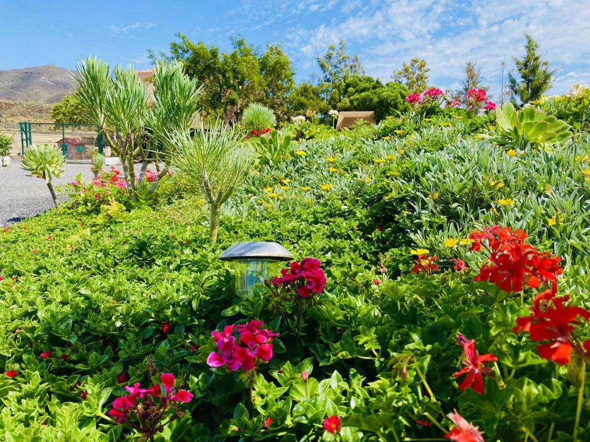 Вілла Nashira Hot Tub Piscina Y Jardin Buzanada Екстер'єр фото