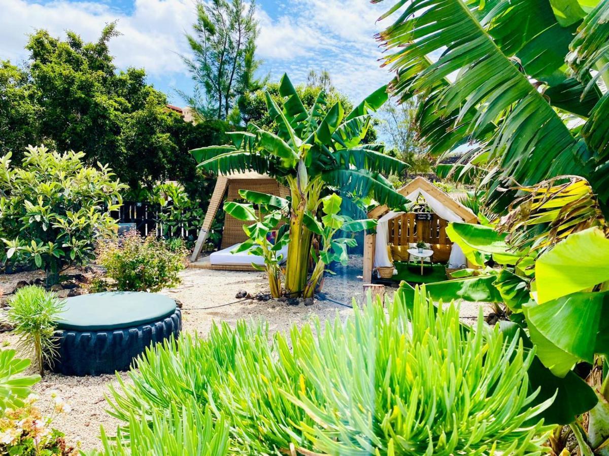 Вілла Nashira Hot Tub Piscina Y Jardin Buzanada Екстер'єр фото